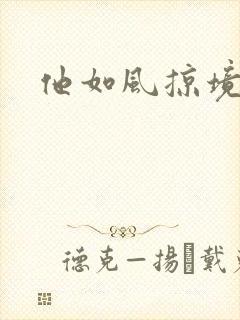 他如风掠境