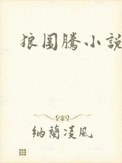 狼图腾小说