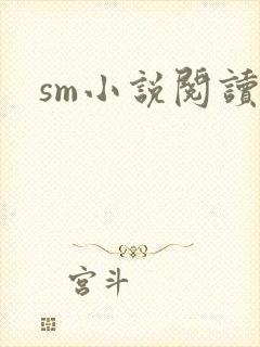 sm小说阅读