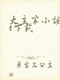 大主宰小说txt下载