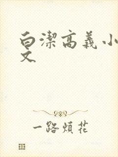 白洁高义小说全文