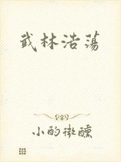 武林浩荡封面
