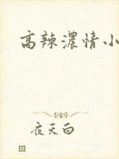 高辣浓情小说
