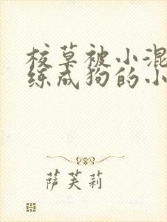 校草被小混混训练成狗的小说封面