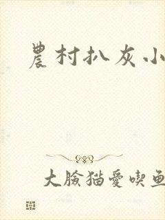 农村扒灰小说封面
