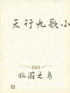 天行九歌小说