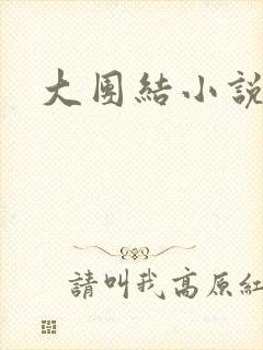 大团结小说全文