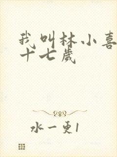 我叫林小喜今年十七岁