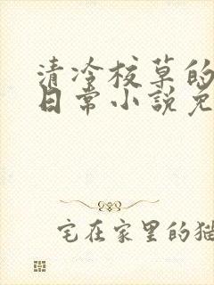 清冷校草的堕落日常小说免费阅读