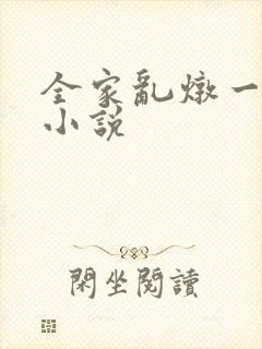 全家乱炖一锅烩小说
