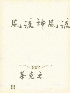 风流神风流记封面