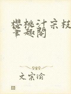 樱桃汁宋枝江野笔趣阁封面