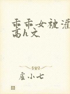 乖乖女被灌满精高h文