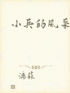 小兵的风采封面