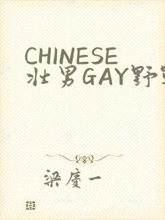 CHINESE壮男GAY野战强迫TUBE封面