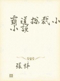 霸道总裁小娇妻小说