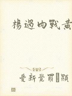 杨过肉战黄蓉