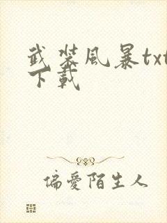 武装风暴txt下载封面