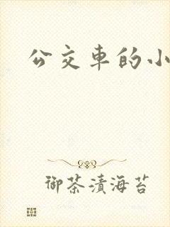 公交车的小说
