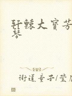 轩辕大宝芳菲雅琴