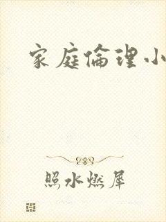 家庭伦理小说