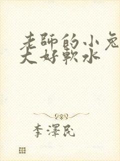 老师的小兔子好大好软水