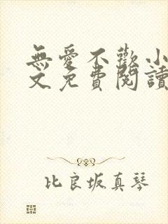 无爱不欢小说全文免费阅读