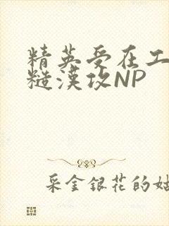 精英受在工地被糙汉攻NP