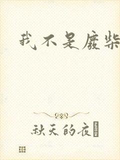 我不是废柴