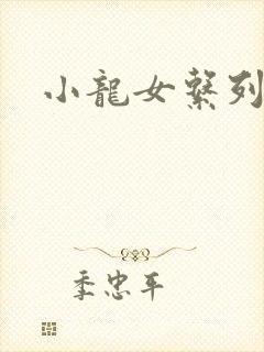 小龙女系列小说封面