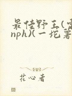 书籍封面