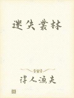 迷失丛林