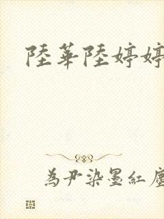 陆华陆婷婷