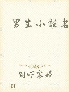 男生小说名字