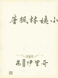 唐枫林姨小说封面
