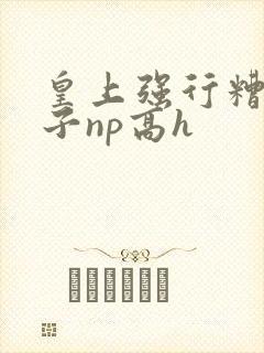 皇上强行糟蹋太子np高h