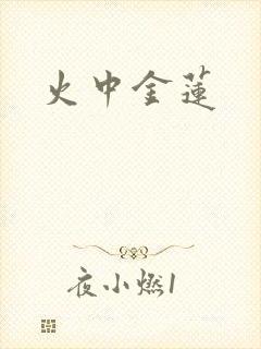 火中金莲封面