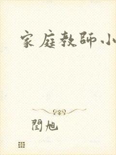 家庭教师小说封面