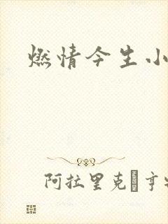燃情今生小说
