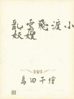 乱云飞渡小说之姣嫂