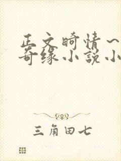 正文畸情～内裤奇缘小说小茹封面