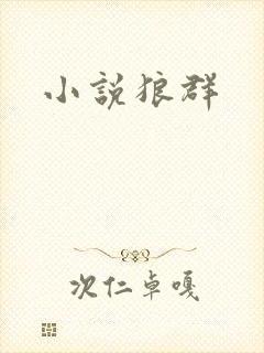 小说狼群封面