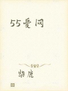 55爱网
