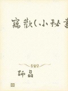 窃欢(小秘书)封面