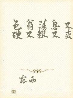 色翁荡息又大又硬又粗又爽小莹