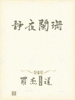 静夜阑珊封面