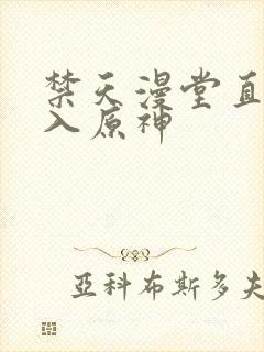 禁天漫堂直接进入原神