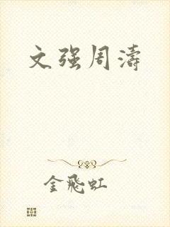 文强周涛