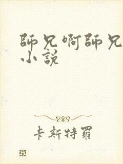 师兄啊师兄原著小说