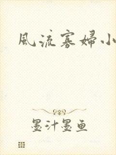 风流寡妇小说